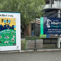 Albert Park Primary Fete